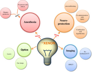 Figure 1. Schema Summarizing Xenon’s applications: Noble gas xenon is used in various fields. In medicine, Xenon can be utilized as a neuroprotective and anesthetic agent. It can also be used as a contrast agent in imaging. Plus it has the potential to be used in the field of optics.